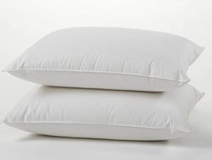 European White Goose Down Pillow