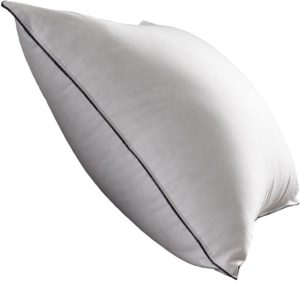 Pacific Coast Feather Pillow